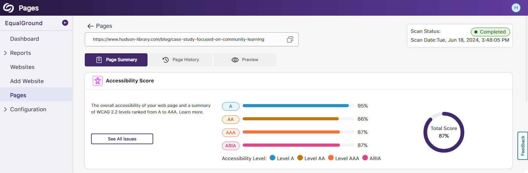the page summary showing accessibility scores for A, AA, AAA, and aria issues.