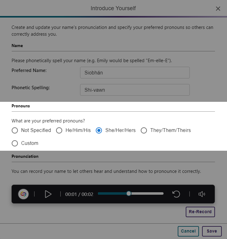 The option to select pronouns in AudioName Pro is shown. 