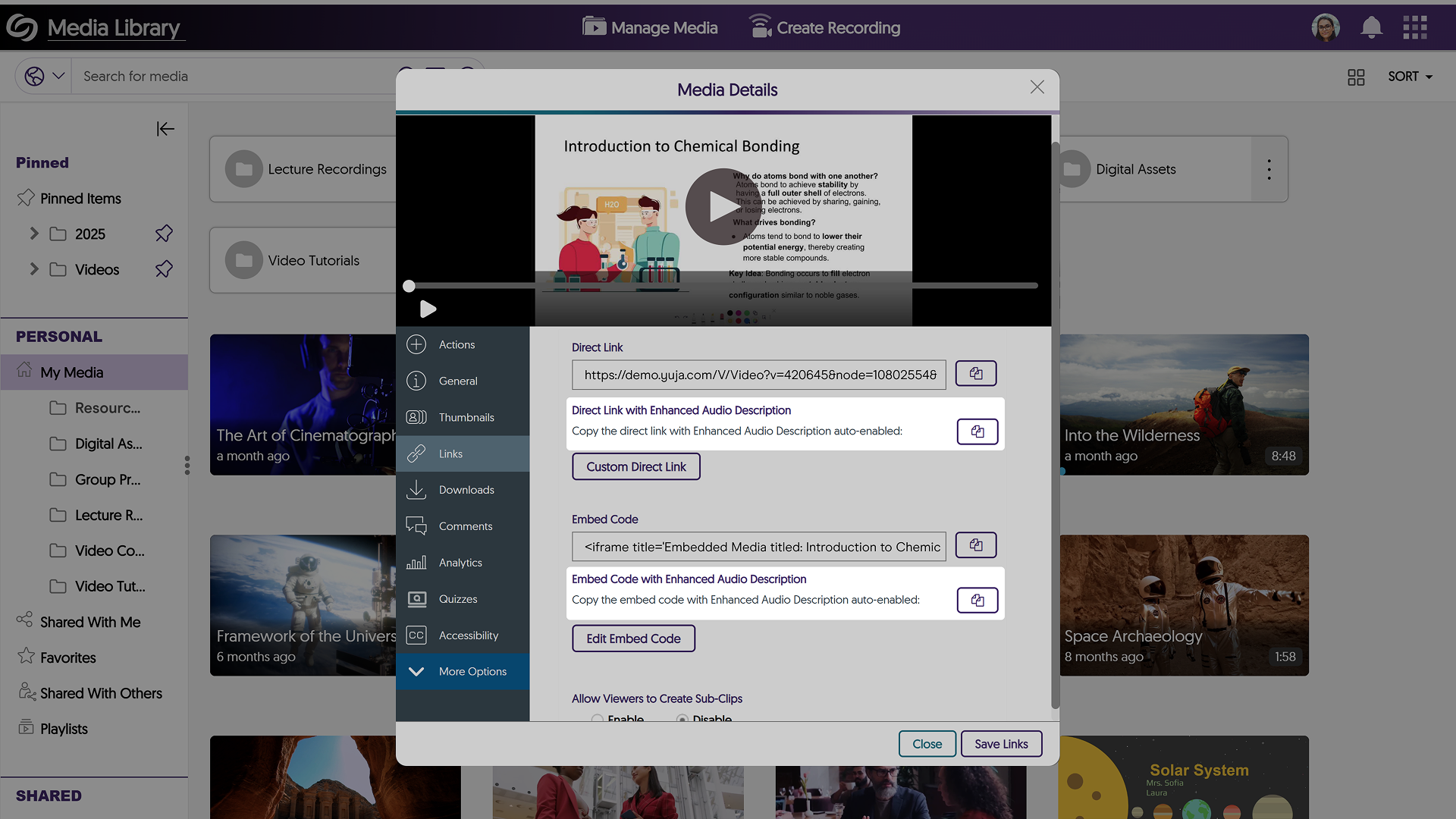 An image of the Media Details window in EVP highlighting the direct link and embedded code with Enhanced Audio Description.