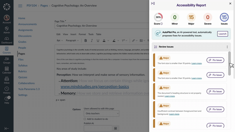 Continuous Scrolling Eliminates Pagination in the WYSIWYG Accessibility Report